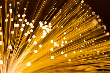 Image showing Fibre Optic Light 