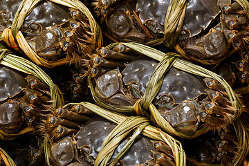 Image showing Fresh chinese crabs