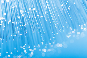 Image showing Optical fibre close up