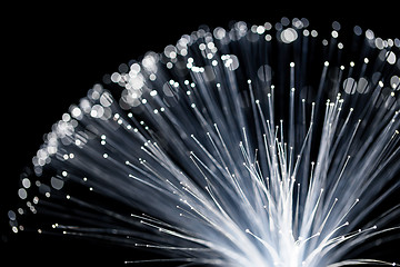 Image showing Fiber optic background