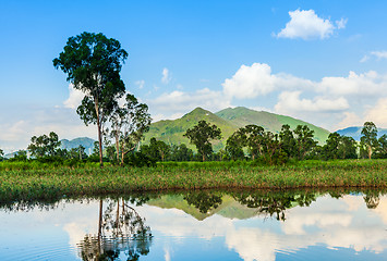 Image showing Wetland