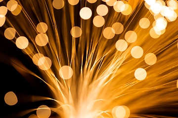 Image showing Golden fibre optic strands