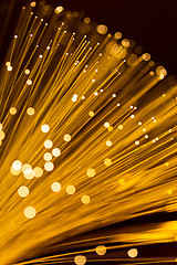 Image showing Golden fibre optic light strand