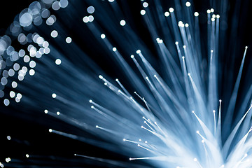 Image showing Fiber optic with blue color