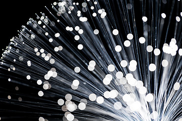 Image showing Fiber optic cables