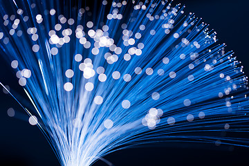 Image showing Fibre optic strands 