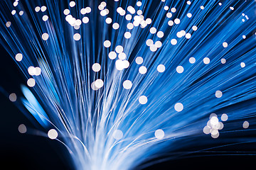 Image showing Optical fibers 