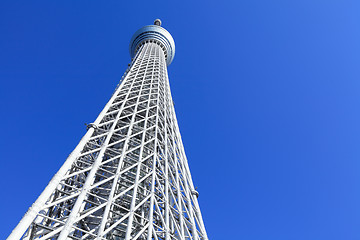 Image showing Tokyo Sky Tree