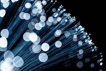 Image showing Fiber optic emitting blue light