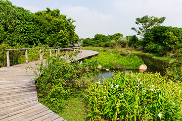 Image showing Wooden bridge through the lake