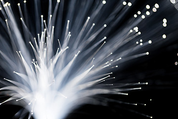 Image showing Fiber optics close up