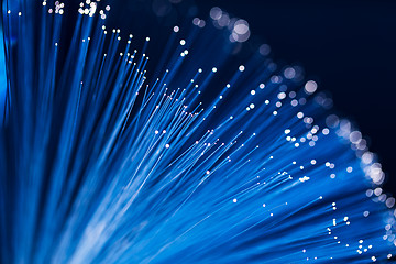 Image showing Fiber optical network cable 