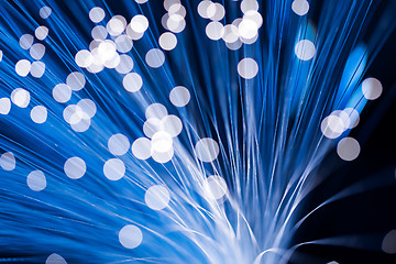 Image showing Blue fibre optic cable 