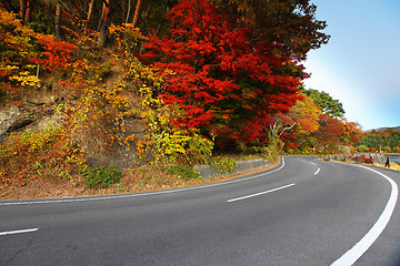 Image showing Highway with colorful maple leaves