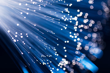 Image showing Fibre optic light