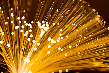 Image showing Optical fibre in golden color