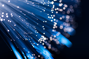 Image showing Blue fiber optic