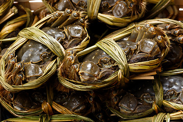 Image showing Hairy crabs