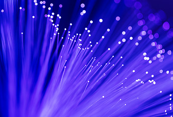 Image showing Fiber optics