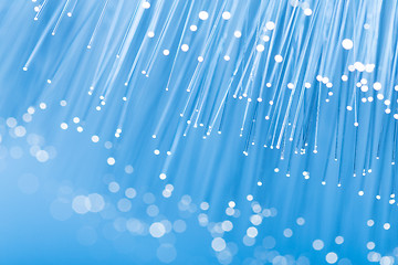 Image showing Optical fibre