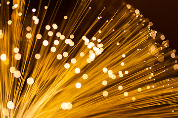 Image showing Golden fibre optic strands