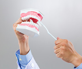 Image showing Dentist hold with denture and toothbrush