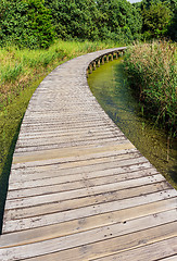 Image showing Wooden bridge for walk