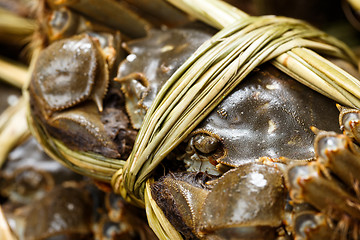 Image showing Close up of freshness hairy crabs