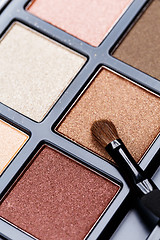 Image showing Palette of Professional Eye Shadows 