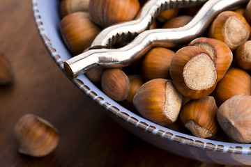 Image showing Hazelnuts