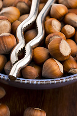 Image showing Hazelnuts