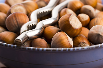 Image showing Hazelnuts