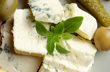 Image showing Blue Cheese