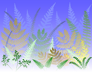 Image showing Fern forest