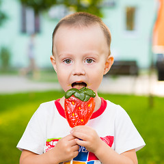 Image showing young boy with colorful lollipop