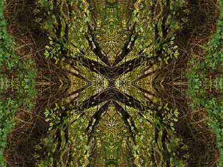 Image showing Ethnic pattern. Abstract kaleidoscope  fabric design.