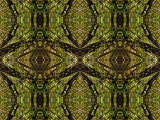 Image showing Ethnic pattern. Abstract kaleidoscope  fabric design.