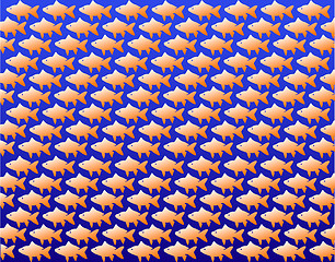 Image showing Fish wallpaper