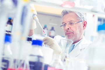 Image showing Life scientist researching in the laboratory.