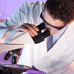 Image showing Health care professional microscoping.