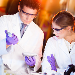 Image showing Scientist pipetting.