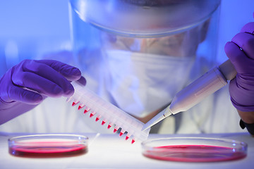 Image showing Working in the laboratory with a high degree of protection