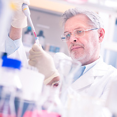 Image showing Life scientist researching in the laboratory.