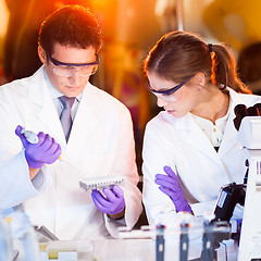 Image showing Scientist pipetting.