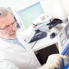 Image showing Life scientist researching in the laboratory.