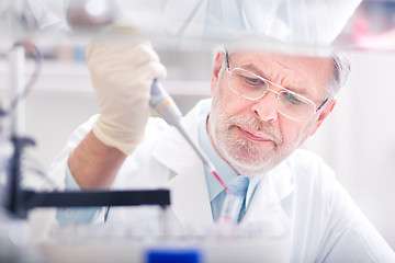 Image showing Life scientist researching in the laboratory.