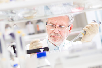 Image showing Life scientist researching in the laboratory.