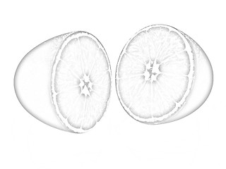 Image showing half oranges