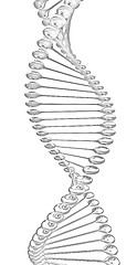Image showing DNA structure model 