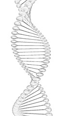 Image showing DNA structure model 